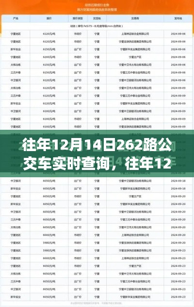 往年12月14日262路公交车实时查询指南，详细步骤适用于初学者与进阶用户参考