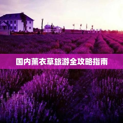 国内薰衣草旅游全攻略指南