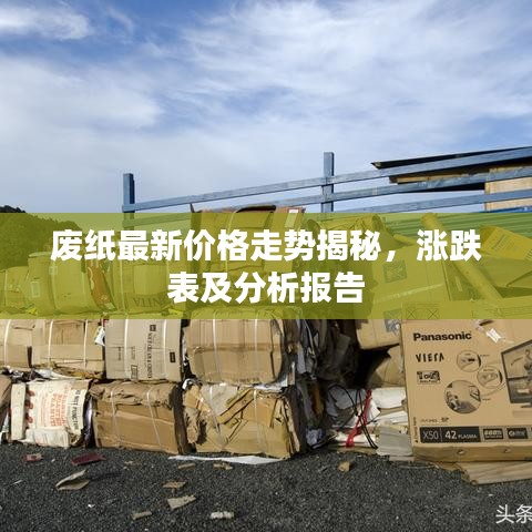 废纸最新价格走势揭秘，涨跌表及分析报告