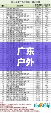 广东户外轮廓灯公司排名大揭秘，专业挑选优质企业榜单！