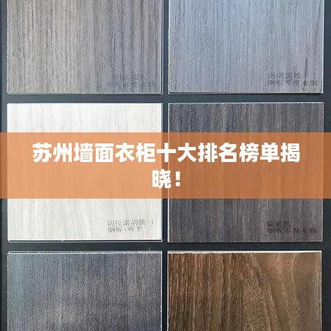 苏州墙面衣柜十大排名榜单揭晓！