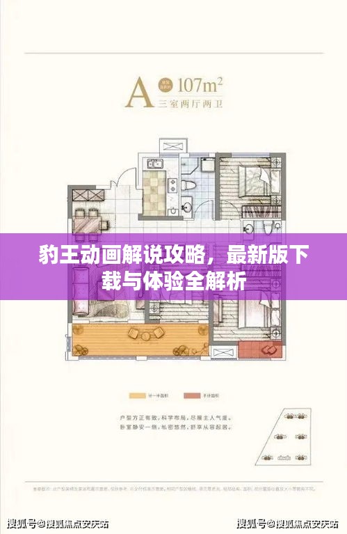 豹王动画解说攻略，最新版下载与体验全解析