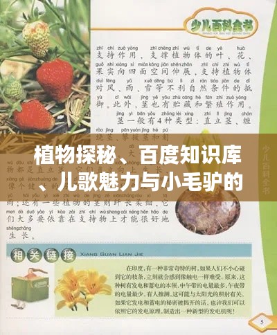 植物探秘、百度知识库、儿歌魅力与小毛驴的奇妙之旅