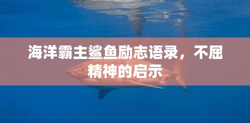 海洋霸主鲨鱼励志语录，不屈精神的启示