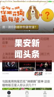 果安新闻头条，最新热点事件报道速递