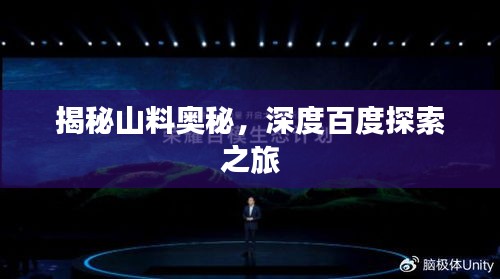 揭秘山料奥秘，深度百度探索之旅