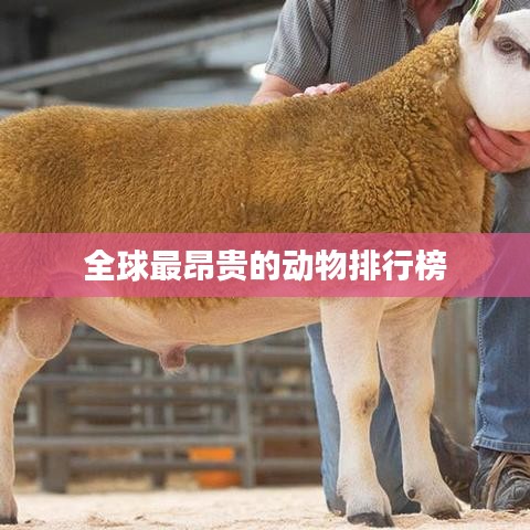 全球最昂贵的动物排行榜