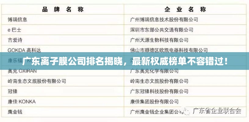 广东离子膜公司排名揭晓，最新权威榜单不容错过！