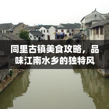 同里古镇美食攻略，品味江南水乡的独特风味