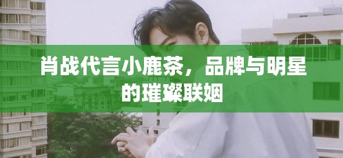 肖战代言小鹿茶，品牌与明星的璀璨联姻