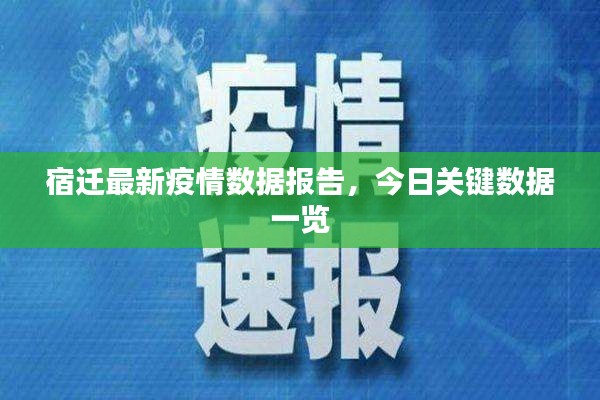 宿迁最新疫情数据报告，今日关键数据一览