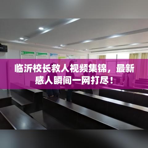 临沂校长救人视频集锦，最新感人瞬间一网打尽！