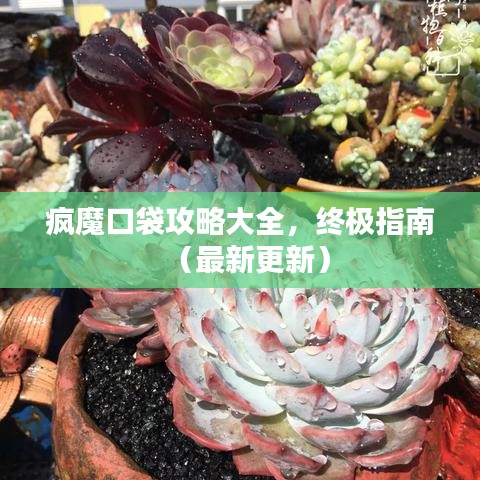 疯魔口袋攻略大全，终极指南（最新更新）