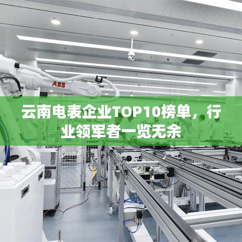 云南电表企业TOP10榜单，行业领军者一览无余