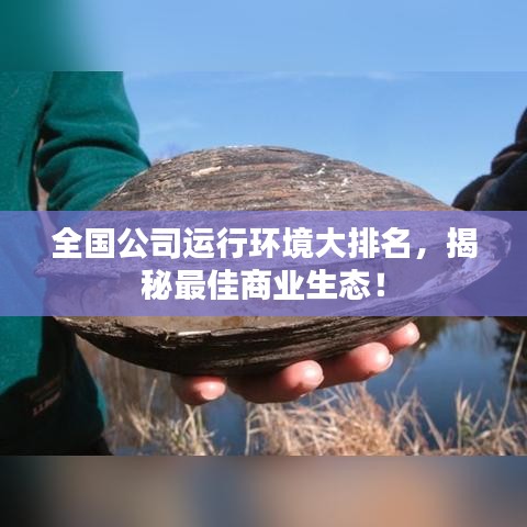 全国公司运行环境大排名，揭秘最佳商业生态！