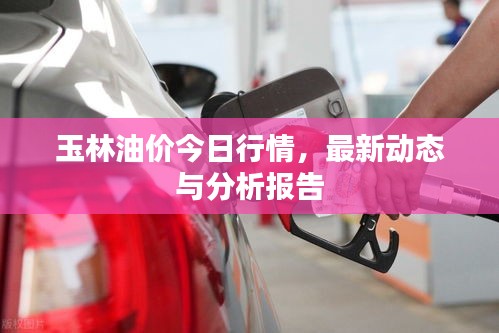 玉林油价今日行情，最新动态与分析报告
