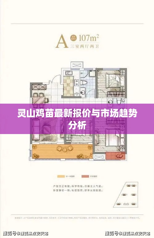灵山鸡苗最新报价与市场趋势分析