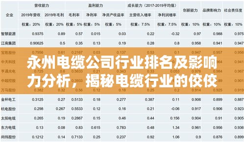 永州电缆公司行业排名及影响力分析，揭秘电缆行业的佼佼者