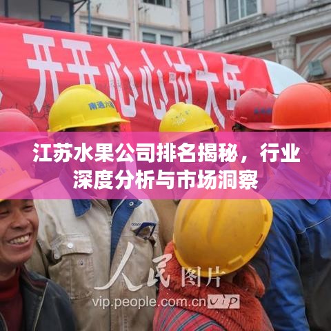 江苏水果公司排名揭秘，行业深度分析与市场洞察