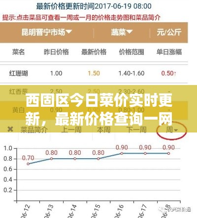 西固区今日菜价实时更新，最新价格查询一网打尽