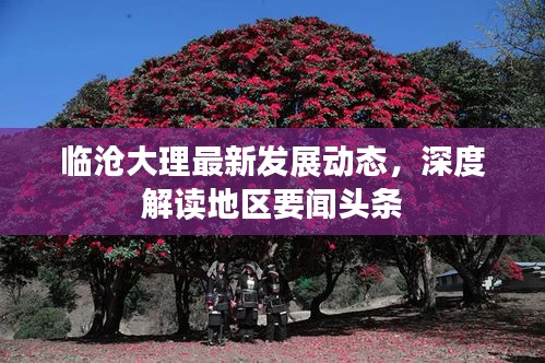 临沧大理最新发展动态，深度解读地区要闻头条