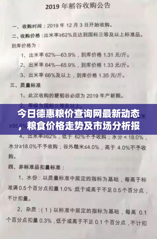 今日德惠粮价查询网最新动态，粮食价格走势及市场分析报告速递