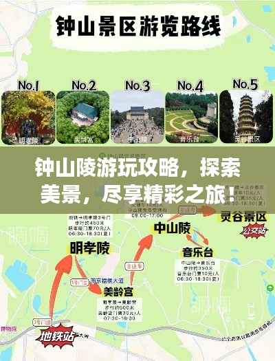 钟山陵游玩攻略，探索美景，尽享精彩之旅！
