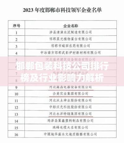 邯郸包装科技公司排行榜及行业影响力解析