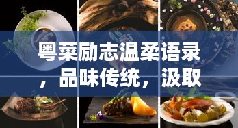 粤菜励志温柔语录，品味传统，汲取力量
