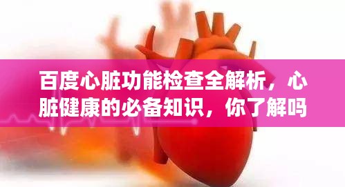 百度心脏功能检查全解析，心脏健康的必备知识，你了解吗？
