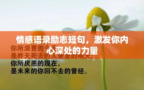 情感语录励志短句，激发你内心深处的力量