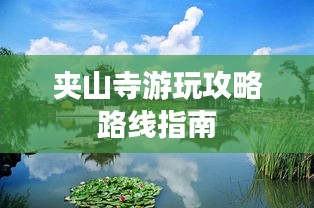 2025年6月 第95页
