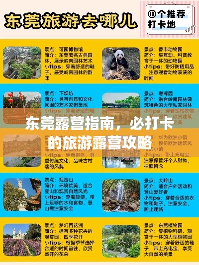 2025年6月 第89页