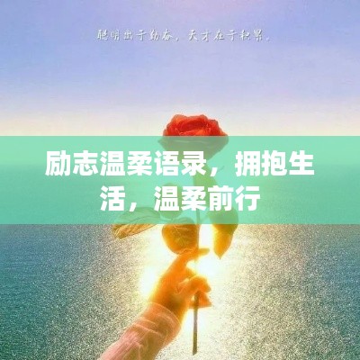 励志温柔语录，拥抱生活，温柔前行