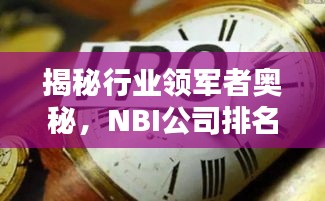 揭秘行业领军者奥秘，NBI公司排名揭晓