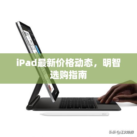 象耕鸟耘