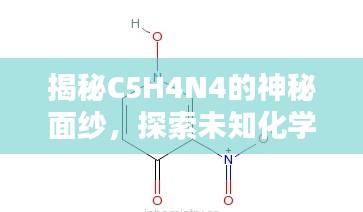 2025年6月 第79页