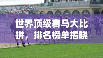 世界顶级赛马大比拼，排名榜单揭晓！