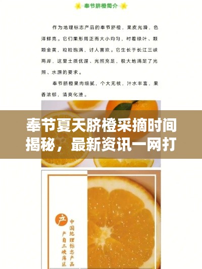 斫琱为朴