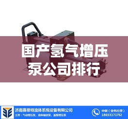 国产氢气增压泵公司排行榜及行业影响力解析