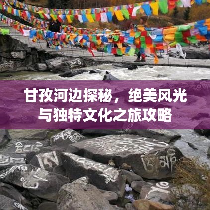 2025年6月 第56页