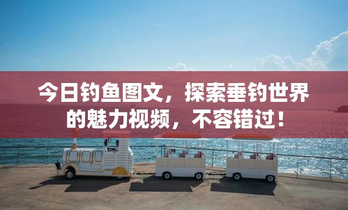 今日钓鱼图文，探索垂钓世界的魅力视频，不容错过！