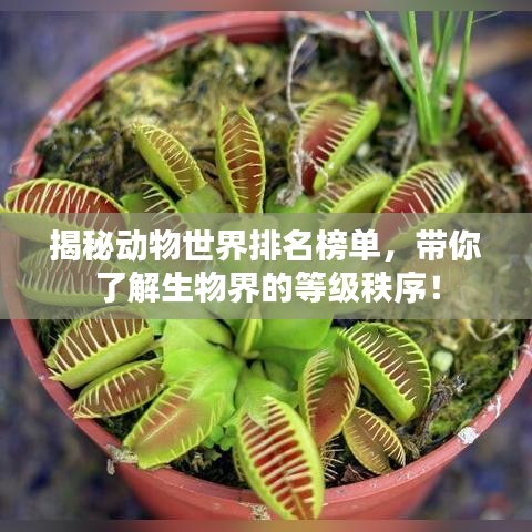 2025年6月 第49页