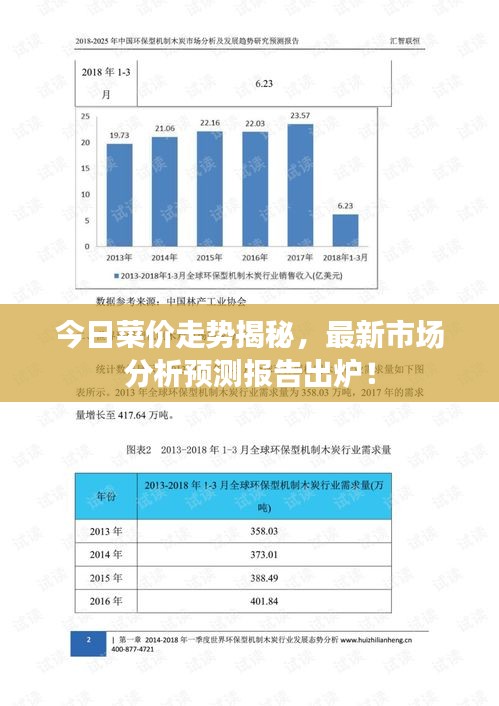 今日菜价走势揭秘，最新市场分析预测报告出炉！