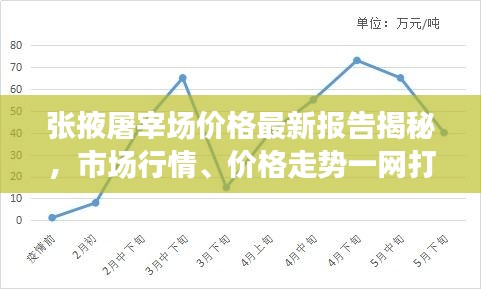 张掖屠宰场价格最新报告揭秘，市场行情、价格走势一网打尽