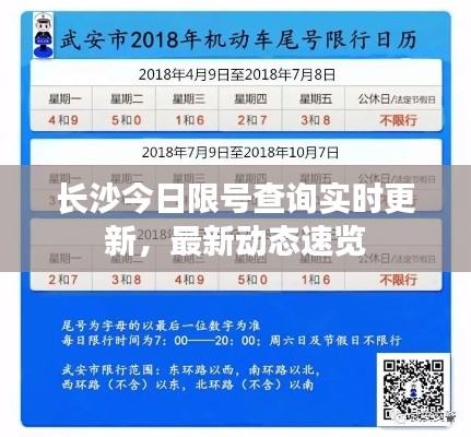 长沙今日限号查询实时更新，最新动态速览