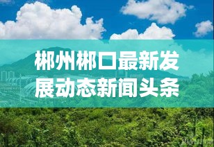 飞珠溅玉