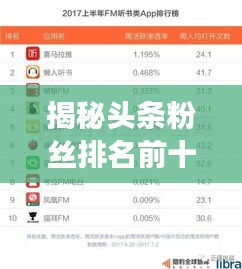 揭秘头条粉丝排名前十的网络红人背后的故事