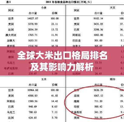 全球大米出口格局排名及其影响力解析