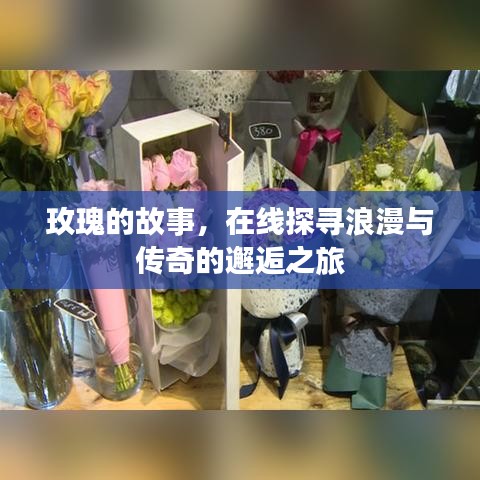 玫瑰的故事，在线探寻浪漫与传奇的邂逅之旅